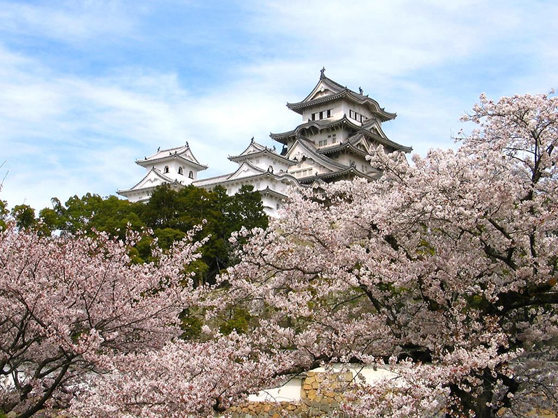Japan at Cherry Blossom Time – 15 Days